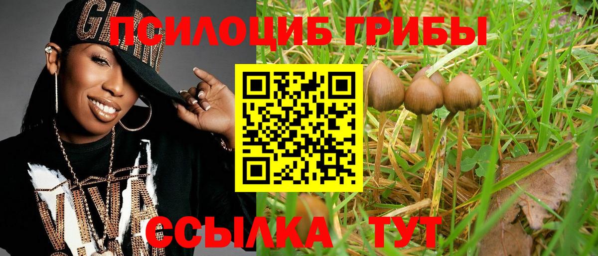 Галлюциногенные грибы MAGIC MUSHROOMS Смоленск